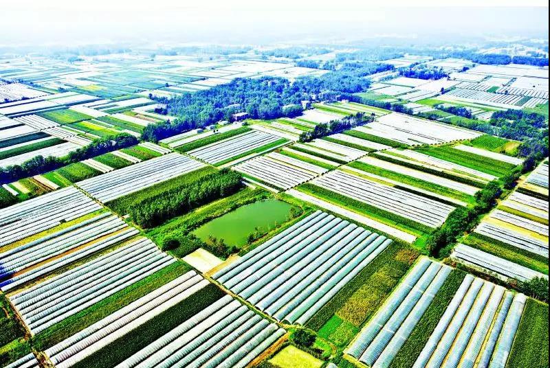 农业农村部:继续推动加大对农业基础设施的投入