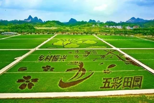 一亩地可以领2000元补贴？到底是什么补贴？