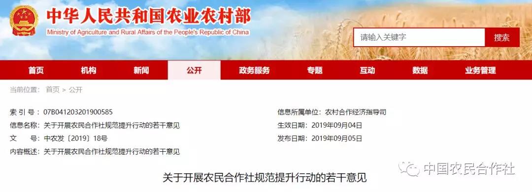 关于开展农民合作社规范提升行动的若干意见