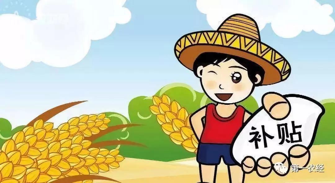2020年，粮补、粮价“两涨一高”！要全面大涨？确切消息来啦！