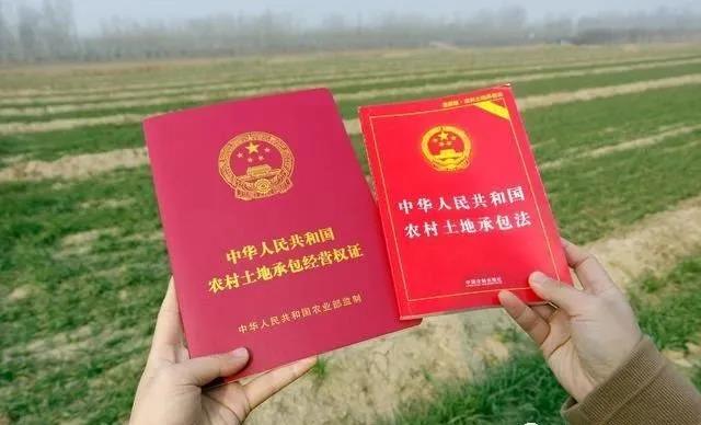 定了！去除农村土地零散化，“一户一田”政策今年实施！