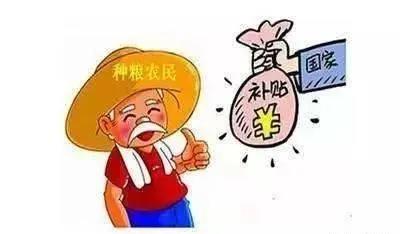 粮食补贴最新消息 ，2020年粮食每亩补贴标准是多少？