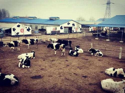 养殖业又出新政策！全国均可申报！