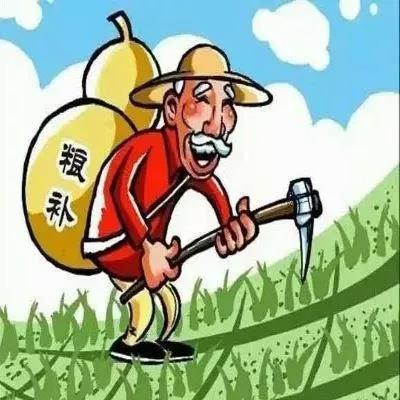 两会农业热点：提高农田建设补贴，每亩补贴3000元！