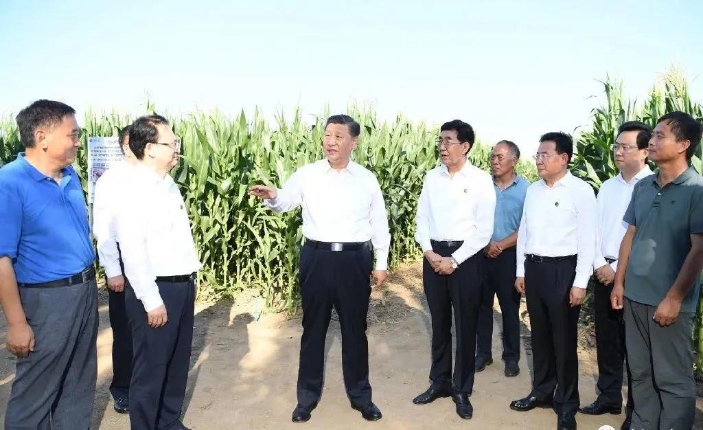 习近平：要突出抓好家庭农场和农民合作社发展，强化农业科技和装备支撑