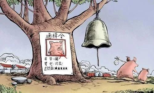 “禁养令”来了？农村养殖业散户还能存活多久？