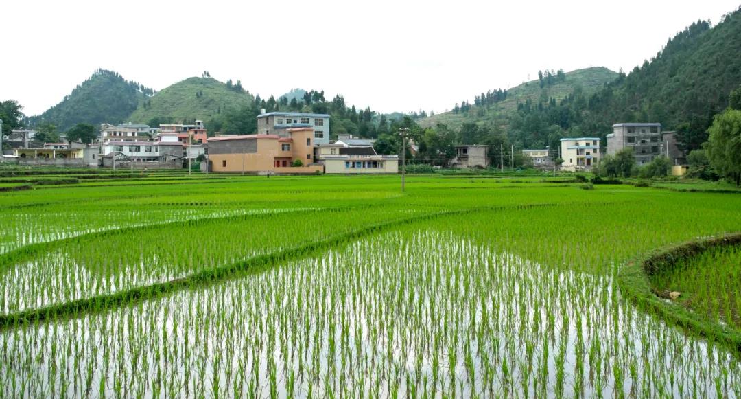 城镇子女无法继承宅基地？这几点你必须知道！