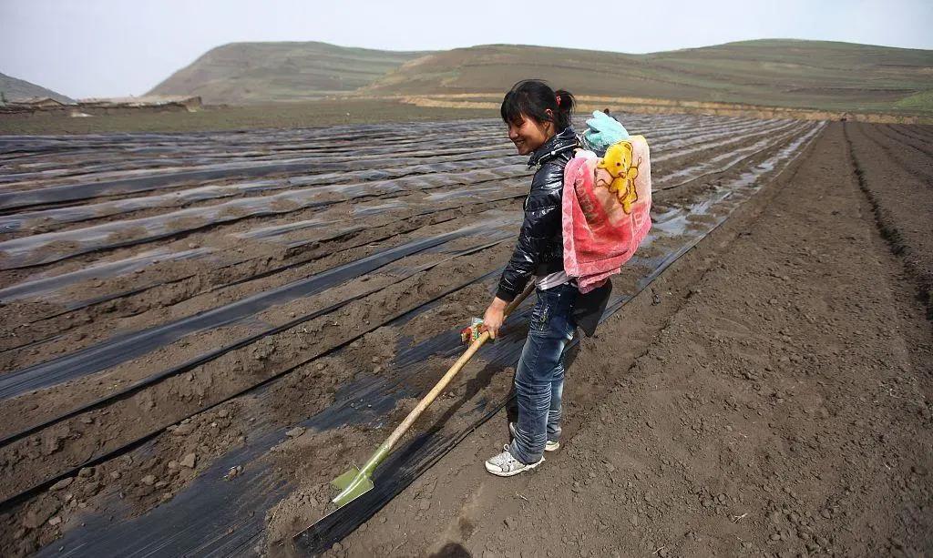种地农民注意！2021年6项补贴什么时间发？能领多少钱？答案来了