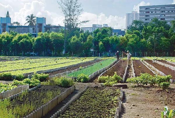 转告一下：承包期延长也没用，2021年这4种人将沦为 “失地农民”！