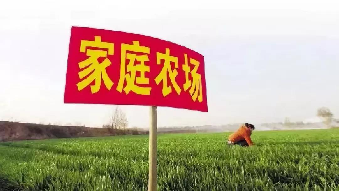 行业分析|家庭农场多大规模才合适？