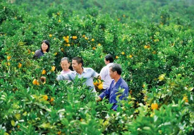 农村户口每户补贴18万！命令已到村委，马上发放！你收到了吗