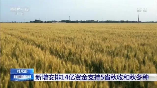 财政部 一次性新增安排14亿元支持秋收和秋冬种
