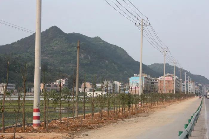 栽电线杆占用农田，农民可以拒绝吗？可以得到多少补偿？