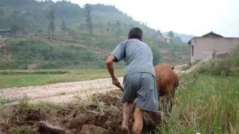 今年过后，农村2种人将富起来，3种人却越来越穷，其中有你吗？